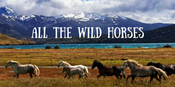 Jeff Dayton “All The Wild Horses” Release To Radio: Download Now