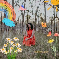 Casii StephanCalifornia-Gold cover